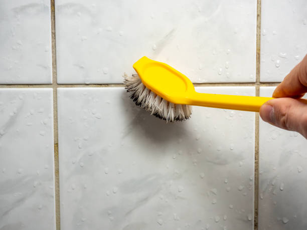 Best Professional Mold Removal  in Crainvle, IL
