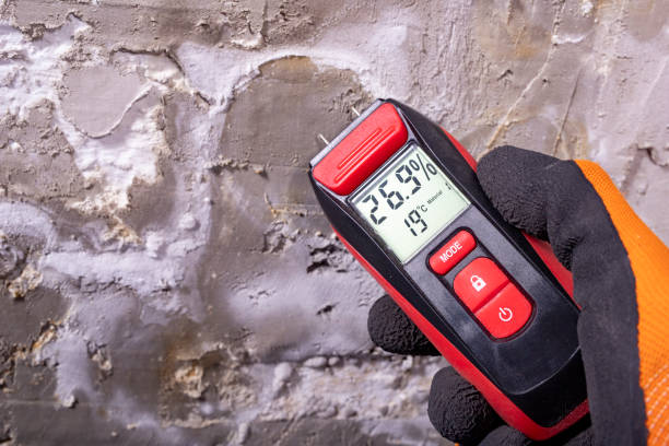 Best Mold Cleaning Services  in Crainvle, IL