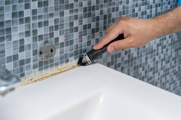 Best Black Mold Removal  in Crainvle, IL